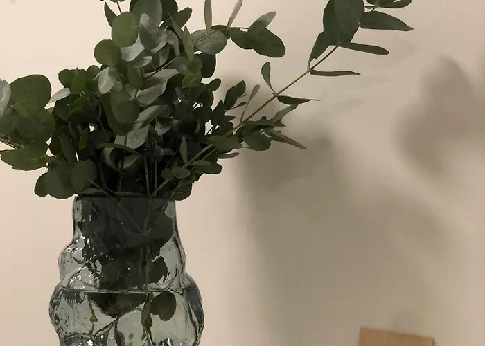 Elf רובניימי